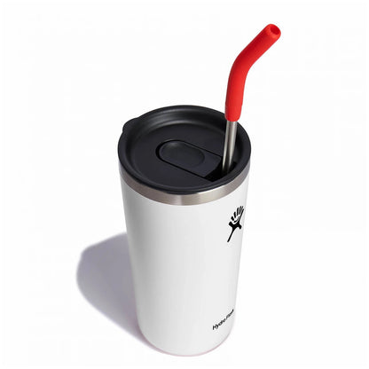 Hydro Flask - Stainless Steel Straw Set - Goji