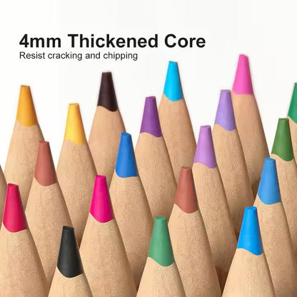 Mideer - Vibrant Colored Pencil | 48 Colors