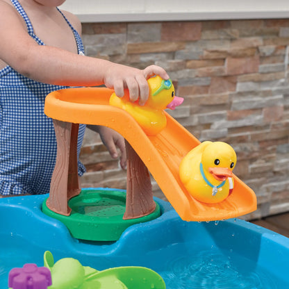 Step2 - Duck Pond Water Table