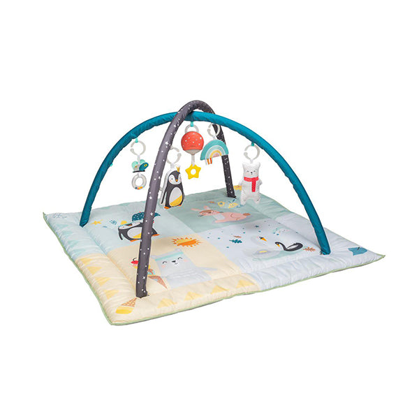 Taf Toys - Play Gym North Pole 4 Season