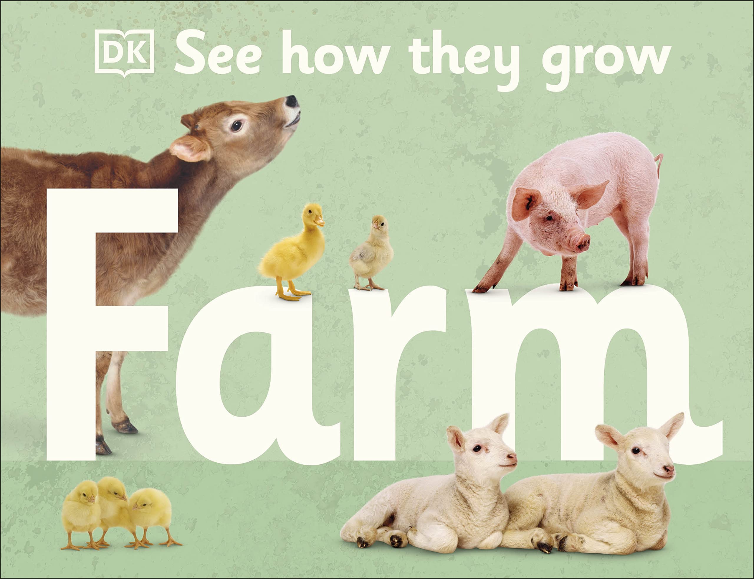 DK  - See How They Grow Farm