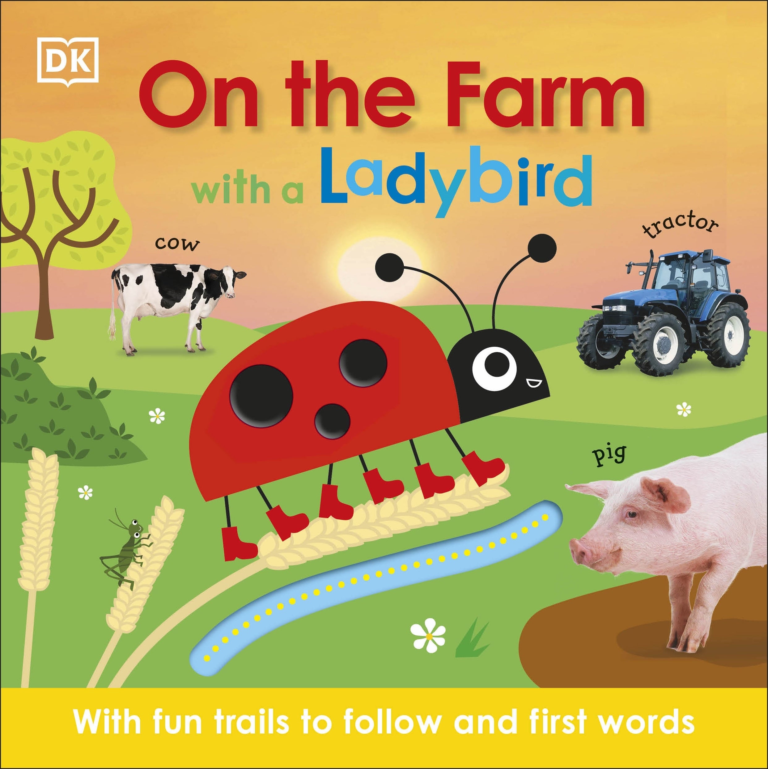 DK  - On the Farm with a Ladybird